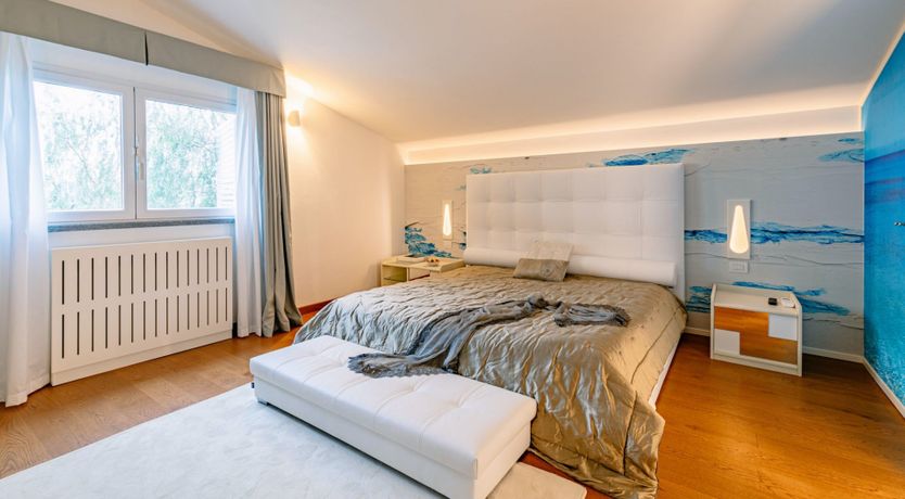 Photo of Among the Olive Trees