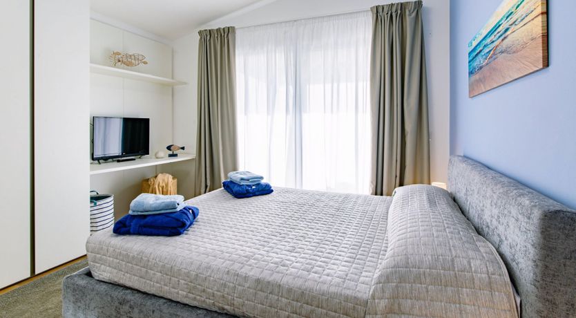 Photo of Among the Olive Trees