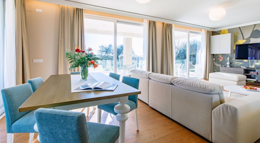 Photo of Among the Olive Trees