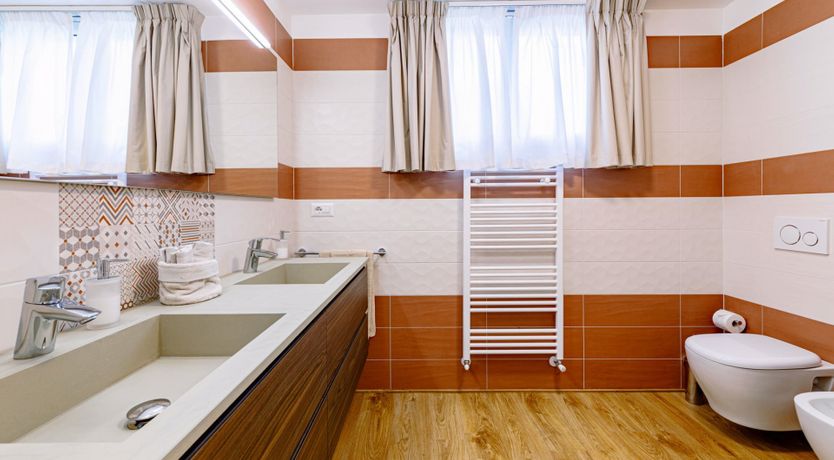 Photo of Among the Olive Trees