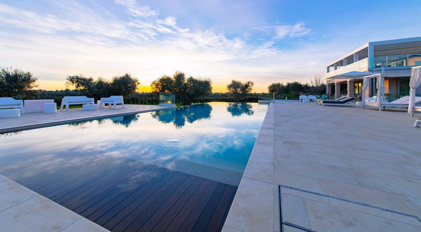 Photo of Among the Olive Trees