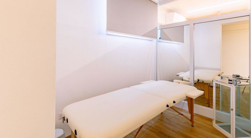 Photo of Among the Olive Trees