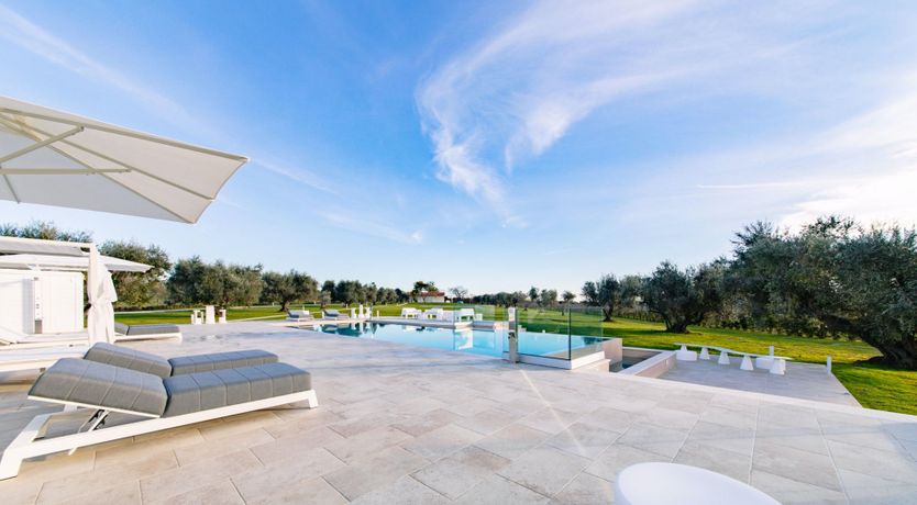 Photo of Among the Olive Trees