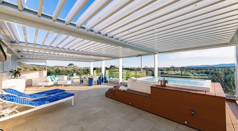 Photo of Among the Olive Trees