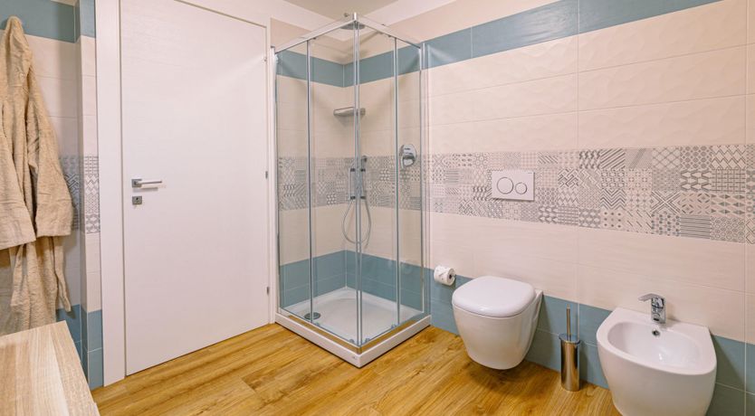 Photo of Among the Olive Trees