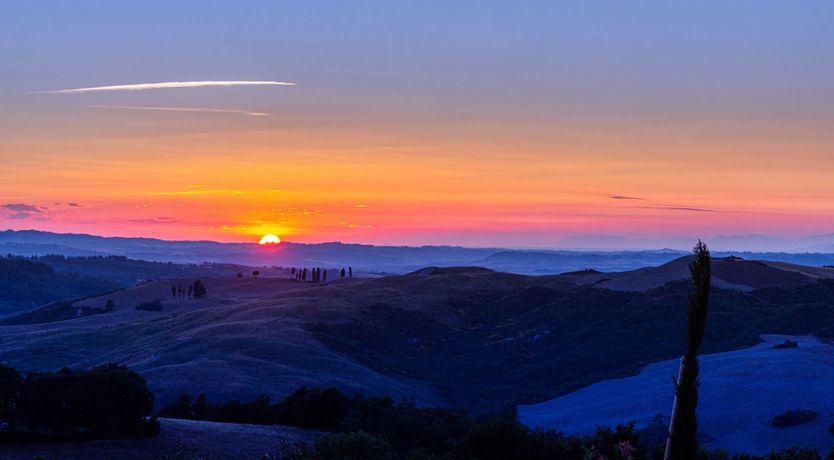 Photo of Hillside Vines
