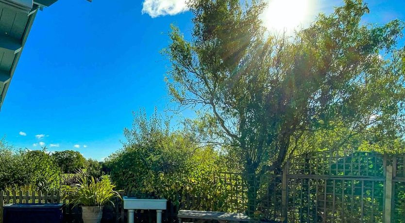 Photo of In the Meadow