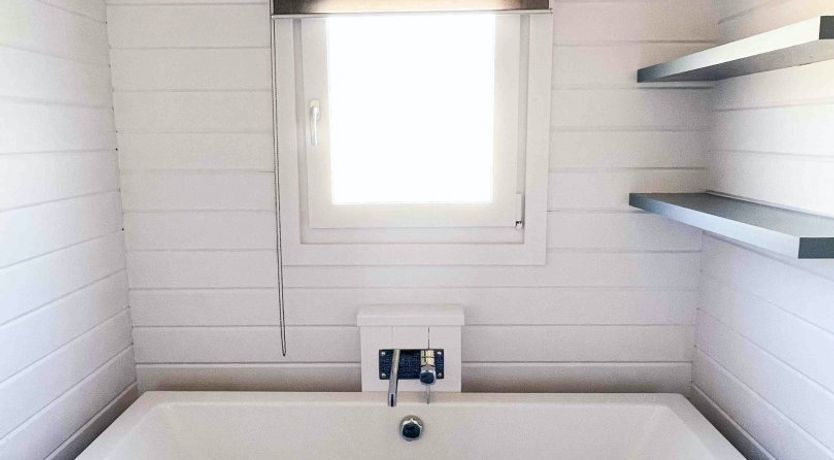 Photo of In the Meadow