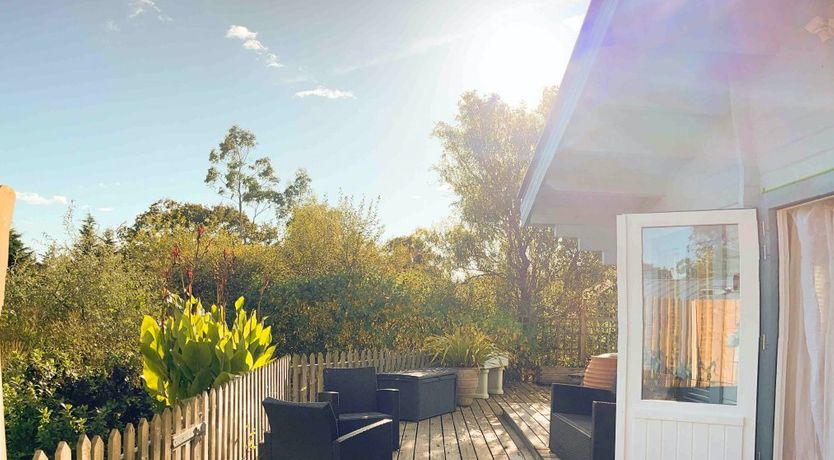 Photo of In the Meadow