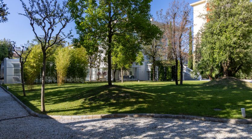 Photo of White Whale