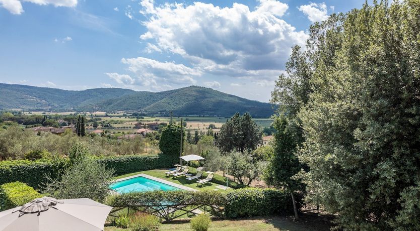 Photo of The Softest Crimson