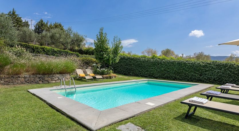 Photo of The Softest Crimson