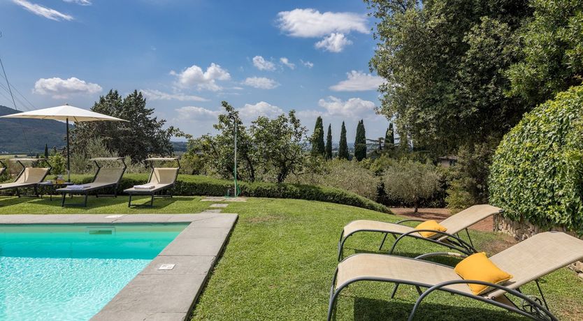 Photo of The Softest Crimson