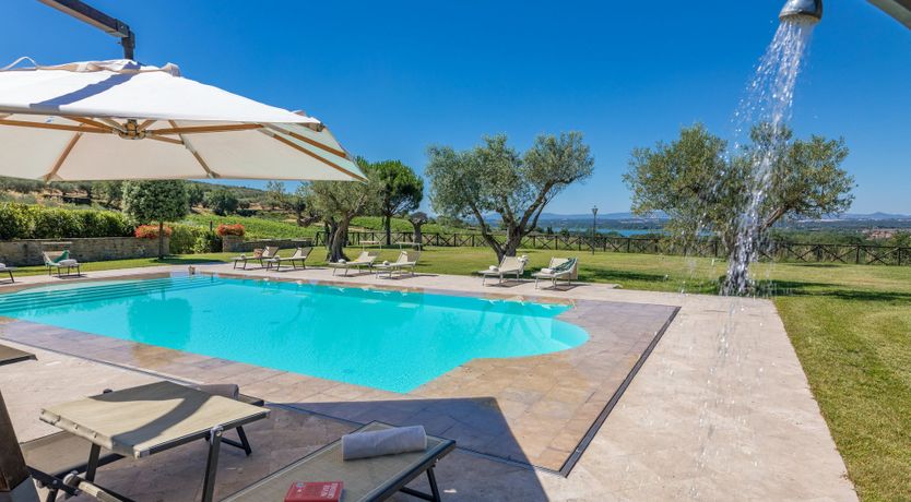 Photo of Olive Tree Embrace