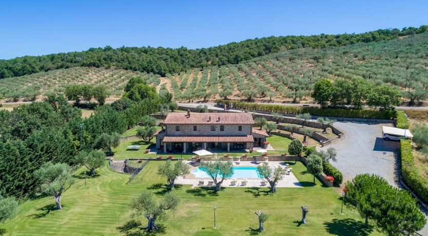 Photo of Olive Tree Embrace