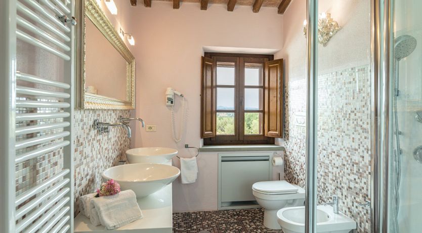 Photo of Olive Tree Embrace