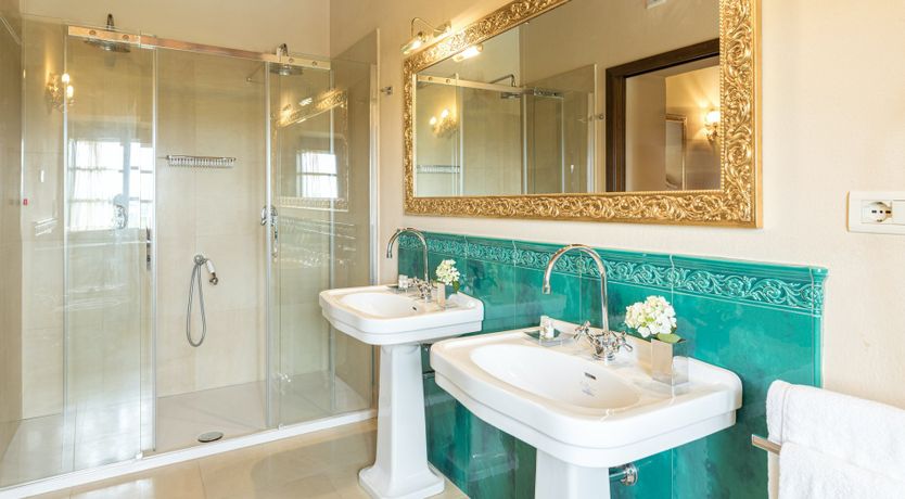 Photo of Olive Tree Embrace