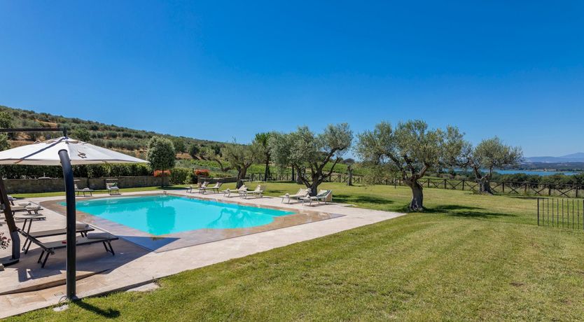 Photo of Olive Tree Embrace