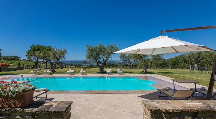 Photo of Olive Tree Embrace