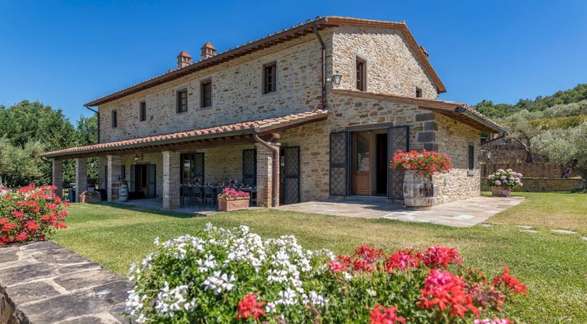 Photo of Olive Tree Embrace