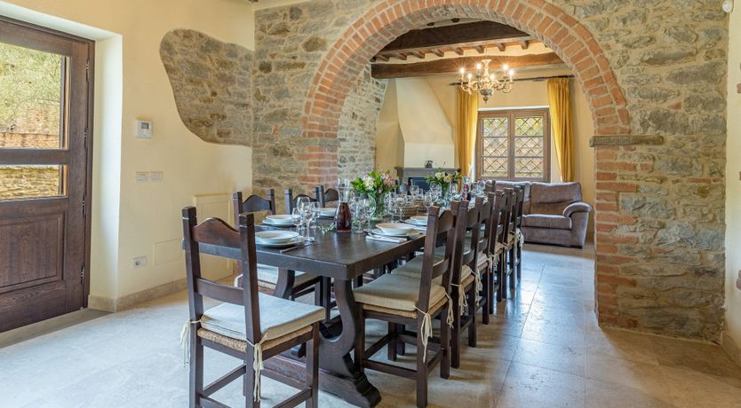 Photo of Olive Tree Embrace