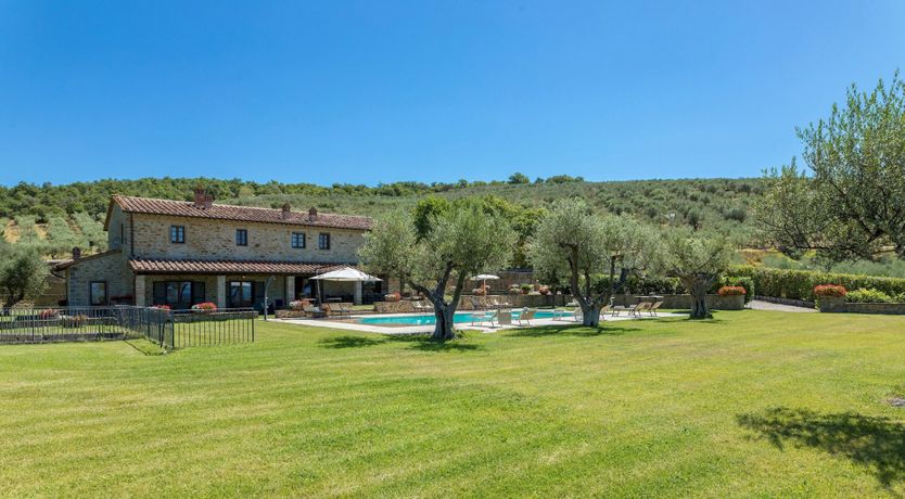 Photo of Olive Tree Embrace