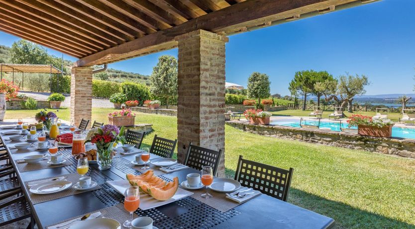 Photo of Olive Tree Embrace