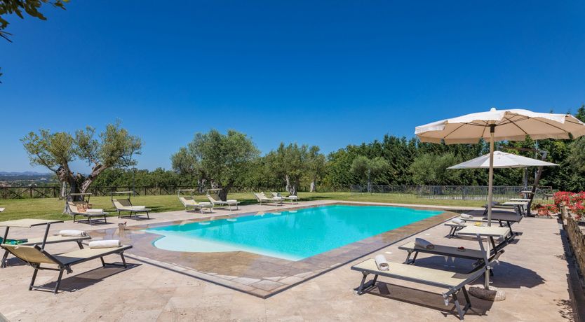 Photo of Olive Tree Embrace