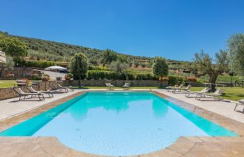 Olive Tree Embrace Villa