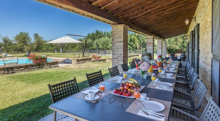 Photo of Olive Tree Embrace