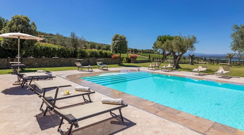 Photo of Olive Tree Embrace