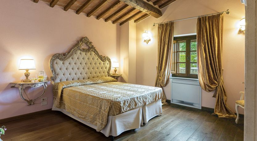 Photo of Olive Tree Embrace