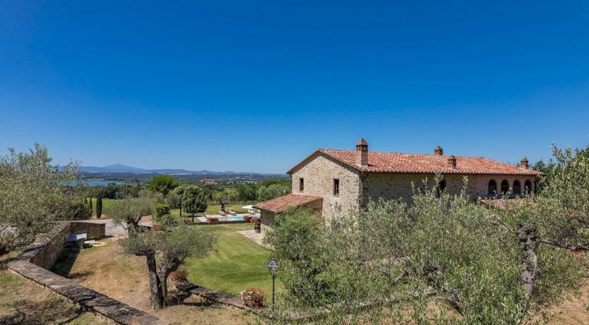 Photo of Olive Tree Embrace