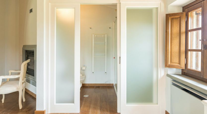 Photo of Olive Tree Embrace