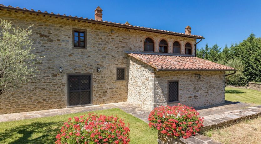 Photo of Olive Tree Embrace