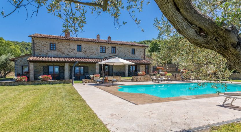 Photo of Olive Tree Embrace