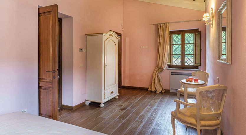 Photo of Olive Tree Embrace