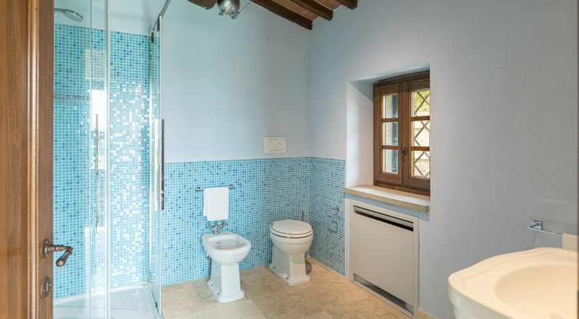 Photo of Olive Tree Embrace