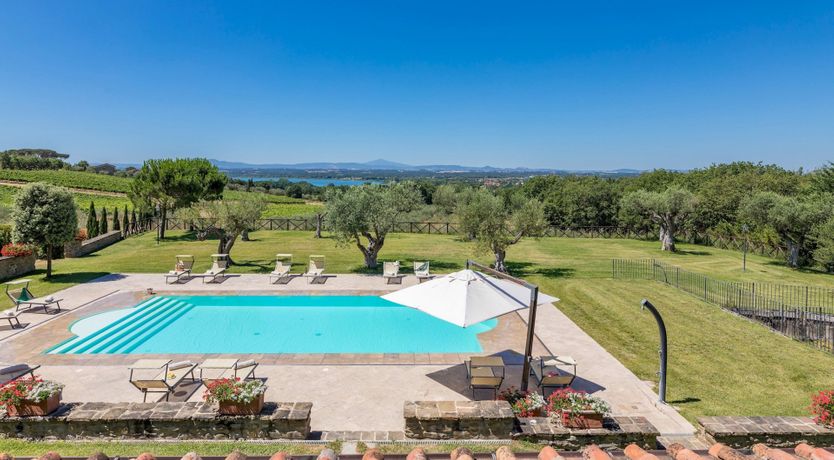 Photo of Olive Tree Embrace