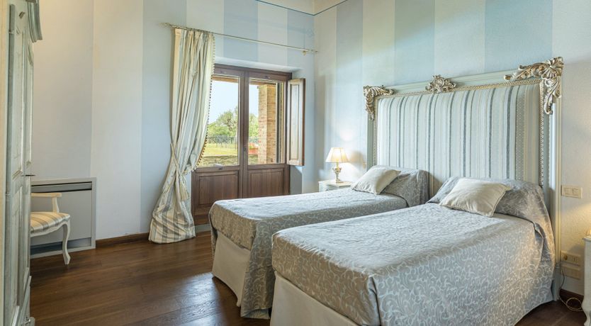 Photo of Olive Tree Embrace