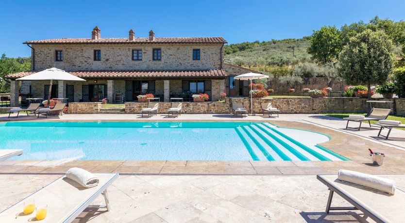 Photo of Olive Tree Embrace