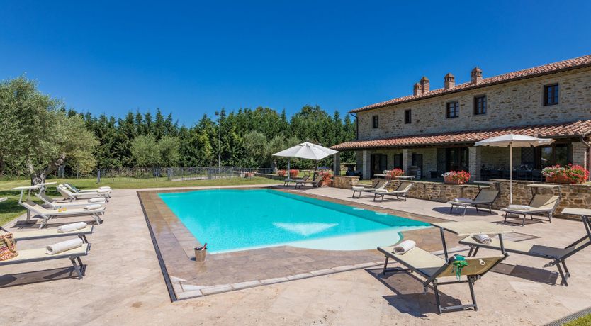 Photo of Olive Tree Embrace