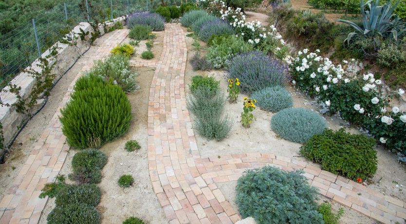 Photo of Vibrant & Verdant