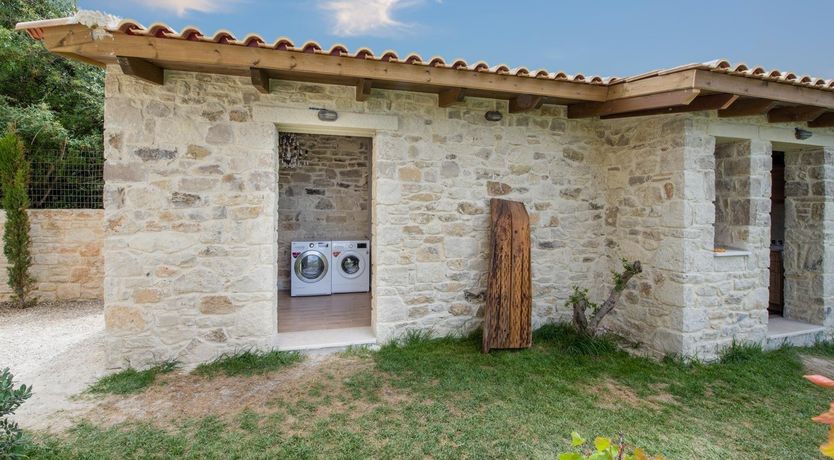 Photo of Vibrant & Verdant