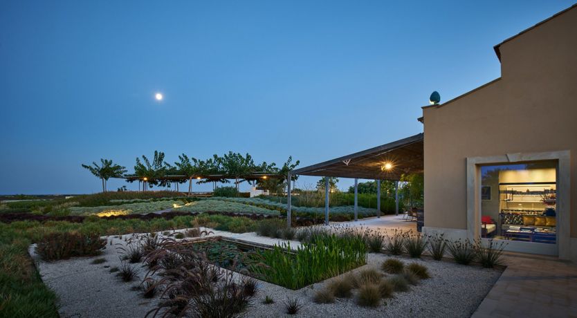 Photo of Nature's Harmony