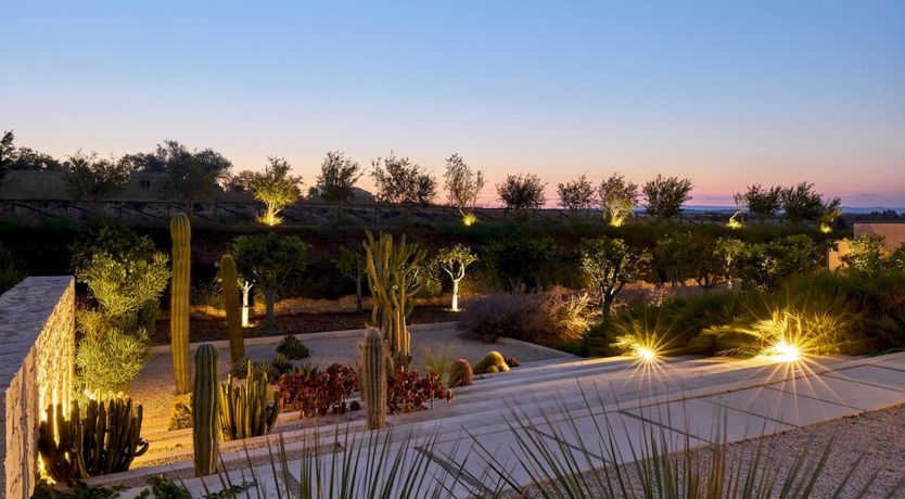 Photo of Nature's Harmony