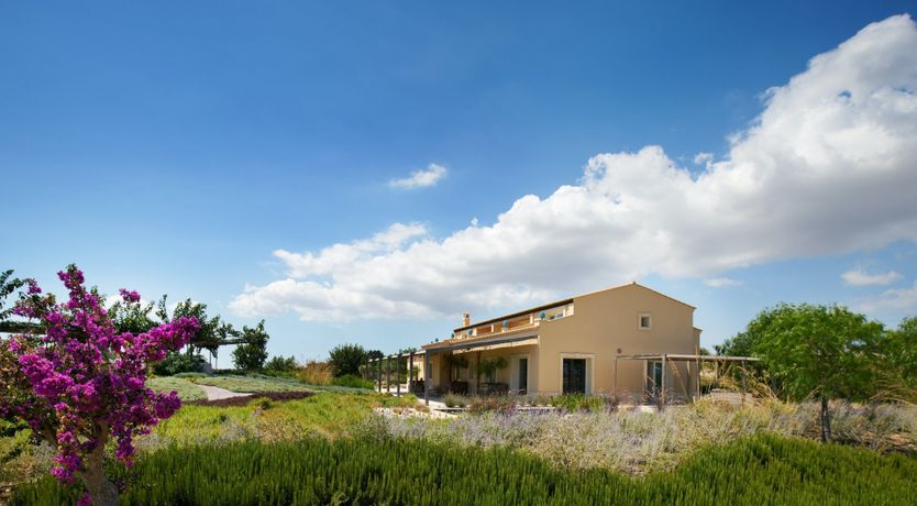 Photo of Nature's Harmony