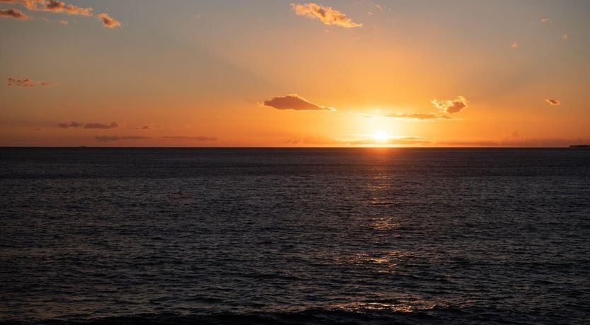 Photo of Circle of Life