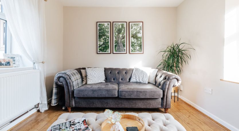 Photo of Suburban Soul