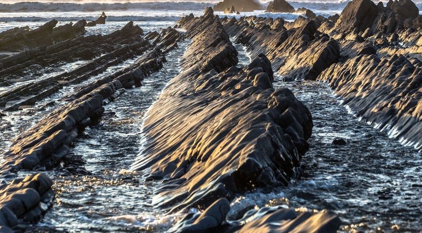 Photo of Cheristow Orchard